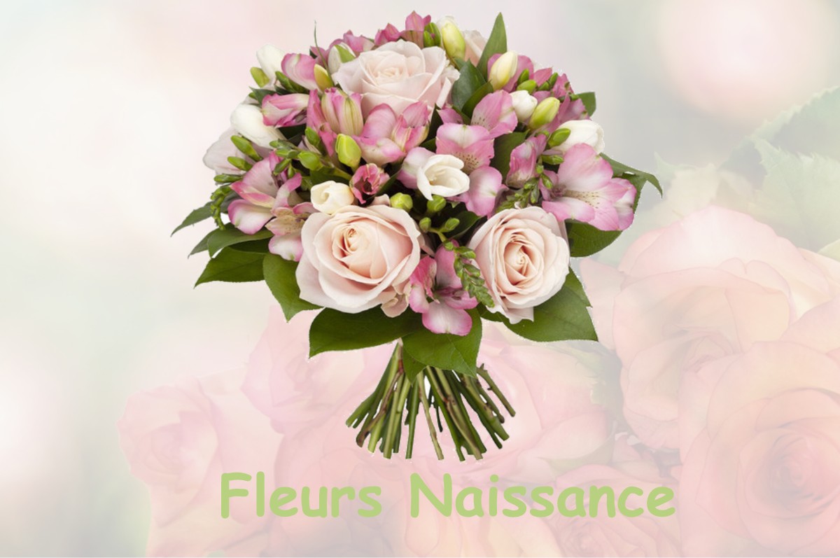 fleurs naissance CASTELNAU-RIVIERE-BASSE
